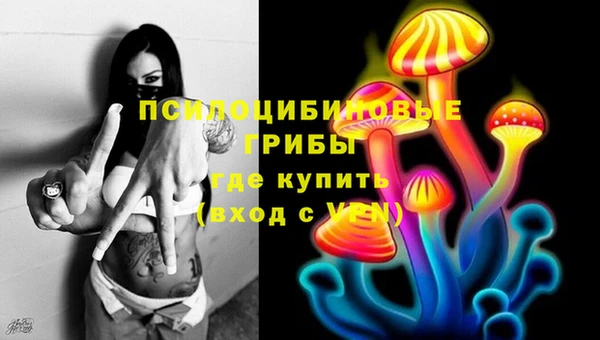 не бодяженный Алзамай