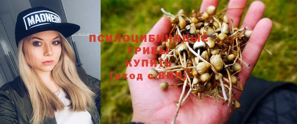 не бодяженный Алзамай